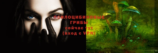 мескалин Заводоуковск