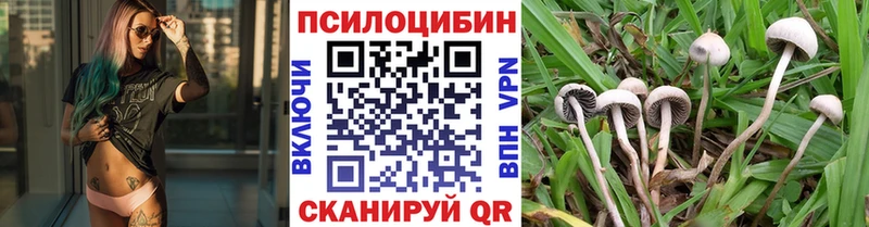 Купить  Маркс  Псилоцибиновые грибы Magic Shrooms 